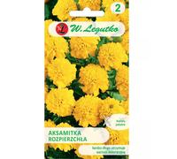 Caléndula difusa, amarilla, 1 g