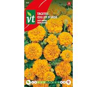 Caléndula francesa, naranja bajo - semillas de flores