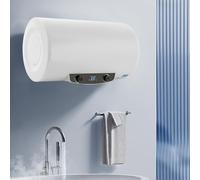 Calentador de agua eléctrico de almacenamiento horizontal, 2000 W, 25-75 °C, calentador de agua eléctrico a presión con ducha de mano, válvula de seguridad, juego de ducha (120 L)