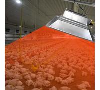 Calentador De Gallinero, Equipo De Calefacción De Granja Avícola, Granja De Pollos De Invernadero, Calentador De Criadora De Gas Infrarrojo Para Pollitos Patitos Codornices Ganso,Liquefied gas