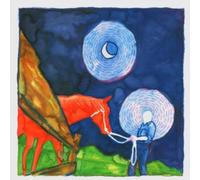 Calexico - In The Reins