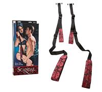 CalExotics – Columpio Scandal