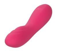 CALEXOTICS - PIXIES RIPPLE ROSA