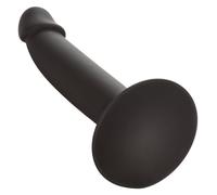 CALEXOTICS - SLIM ANAL STUD