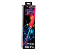 CALEXOTICS Southern Lights Light Up Plug - Juguete Anal Con 10 Vibraciones De Silicona Médica