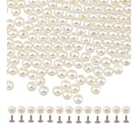 CALFOVERA Remaches de Cuero de 6mm con Forma de Perla (300 Unidades), Redondos, con Medio Agujero, con Herrajes de Hierro para Manualidades En Cuero: Cinturones, Bolsos, Sombreros, Zapatos
