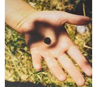 Calicos - The Soft Landing [Vinilo]