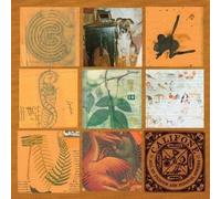 Califone - All My Friends Are Funeral Singers (2 LP)