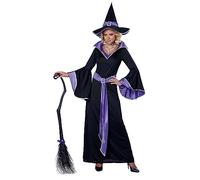 California Costumes Adult Incantasia Witch Halloween Costume - Medium