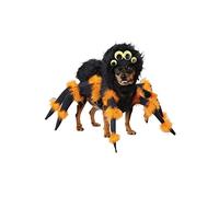 California Costumes Aptafêtes - CS968955/M - Disfraz de araña para Perro - Talla M