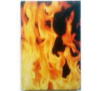 California Fire and Life
