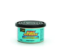 California Scents Ambientador de coche en Lata - Fragancia Duradera de Brisa Marina (Hasta 30 Días) - Control de Intensidad de Olor para un Ambiente Fresco y Personalizado en tu Coche, 42g