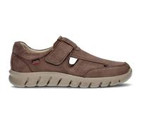 Callaghan 42801C Marron 44