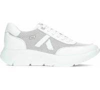 Callaghan Deportivas para mujer Floty 62400 Algoritmo de la talla 37 en color BLANCO