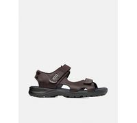 Callaghan Sandalias de hombre en piel con cierre adherente. Marrón oscuro 40