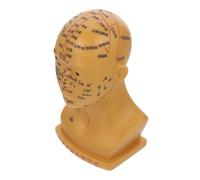 CALLARON De Cabeza De Acupuntura De Diseño Facial Para Masaje y Enseñanza Terapias De Acupuntura Material Resistente Para Consultorios Médicos