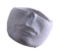 CALLARON Maceta Diseño de Cara de Cemento Blanco, Adorno de Mesa Creativo