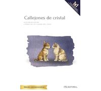 Callejones de cristal: Historias entre líneas en la ciudad del caos