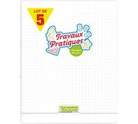 Calligraphe 18189C - Unpaquet de 5 cahiers piqués de travaux pratiques(gamme 8000 de Clairefontaine) 96 pages 24x32 cm 90g grands carreaux et unis, couverture polypro (plastique), Incolore