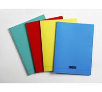 Calligraphe 18291C Juego de 10 álbumes grapados (una marca de Clairefontaine) - 24x32 cm - 96 páginas en blanco liso - Papel de 90 g - Cubierta de polipropileno transparente - Colores aleatorios