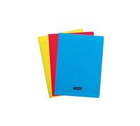 Calligraphe 183390AMZC Lot de 3 Cahiers Agrafés (une marque de Clairefontaine) - 24x32 cm - 192 Pages Grands Carreaux - Papier Blanc 90 g - Couverture Polypro Transparent (Bleu, Rouge, Jaune)