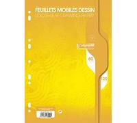 Calligraphe 7099C - Un paquete de hojas móviles perforadas (gama 7000 de Clairefontaine) 80 páginas, 21 x 29,7 cm, 120 g, lisas en color blanco, enfundadas en película.