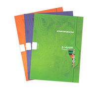Calligraphe 7553C - Lote de 10 cuadernos de dibujo (gama 7000 de Clairefontaine, 32 páginas, 24 x 32 cm, 120 g, color blanco, tapa para tarjeta offset, colores surtidos