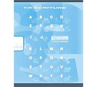 Calligraphe ES 108501C - Un cahier de travaux pratiques (gamme 8000 de Calligraphe) 32 pages 17x22 cm 90g grands carreaux DL3mmIV et pages unies blanches, couverture carte offset, couleur aléatoire