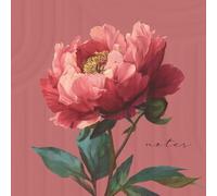 Calm Notebook With Affirmations & Creative Space: Relaxing With Rosey