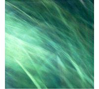 Calm presents Conception for the street noise vol.02