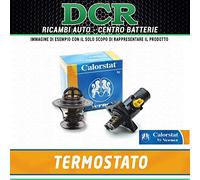 Calorstat TH6253.80J Termostato, refrigerante