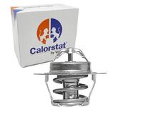 Calorstat TH6318.89J Termostato, refrigerante