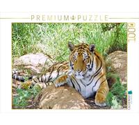 CALVENDO 7695162 - Puzzle, Multicolor