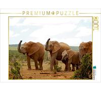 CALVENDO Anke Van Wyk - Puzle de 1000 Piezas (64 x 48 cm), diseño de Elefantes africanos