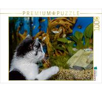 CALVENDO Anna Kropf - Puzzle (1000 Piezas, 64 x 48 cm), diseño de Gato con la Esperanza y los Peces
