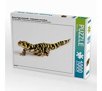 CALVENDO Benny Trapp - Puzzle (1000 Piezas, 64 x 48 cm), diseño de salamandra Tigre