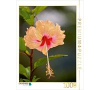 CALVENDO Bianca Schumann - Puzzle (1000 Piezas, 48 x 64 cm), diseño de Flores de Hibisco