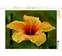 CALVENDO Bianca Schumann - Puzzle (1000 Piezas, 64 x 48 cm), diseño de Flores de Hibisco