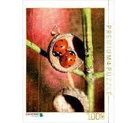 CALVENDO Christine Bässler - Puzzle (1000 Piezas, 48 x 64 cm)