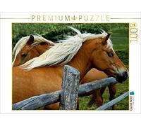 CALVENDO Georg Niederkofler - Puzzle (1000 Piezas, 64 x 48 cm), diseño de Caballos