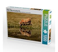 CALVENDO Georg Niederkofler - Puzzle (1000 Piezas, 64 x 48 cm), diseño de Caballos