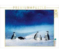 CALVENDO Heike Hultsch - Puzzle (1000 Piezas, 64 x 48 cm), diseño de Familia de pingüinos