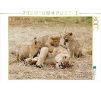 CALVENDO Ingo Gerlach Puzzle Momentos emocionales: bebés de león - Tan Lindo. 1000 Piezas Tamaño de la Puesta 64 x 48 cm