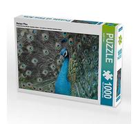 CALVENDO Ingrid Franz - Puzzle (1000 Piezas, 64 x 48 cm), diseño de Pavo Real
