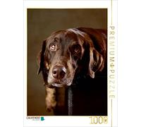 CALVENDO Jana Behr - Puzle de 4 años (1000 Piezas, 48 x 64 cm), diseño de Labrador x Rottweiler