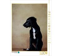 CALVENDO Jana Behr - Puzzle Hazel Retriever x Labrador x Münsterländer-Mix, 14 semanas 1000 Piezas, tamaño 48 x 64 cm