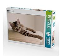 CALVENDO Janeken Bölte - Puzzle (1000 Piezas, 64 x 48 cm), diseño de Gato