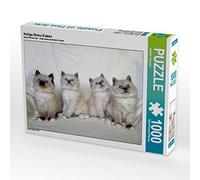 CALVENDO Jennifer Chrystal - Puzzle (1000 Piezas, 64 x 48 cm), diseño de Gatos de Birmania