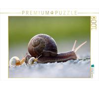 CALVENDO Judith Doberstein - Puzzle a Velocidad de Caracol a través del año (1000 Piezas, tamaño 64 x 48 cm)