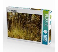 CALVENDO Karl-Günter Balzer - Puzzle (1000 Piezas, 64 x 48 cm), diseño de Bosque del Castillo de Mellnau